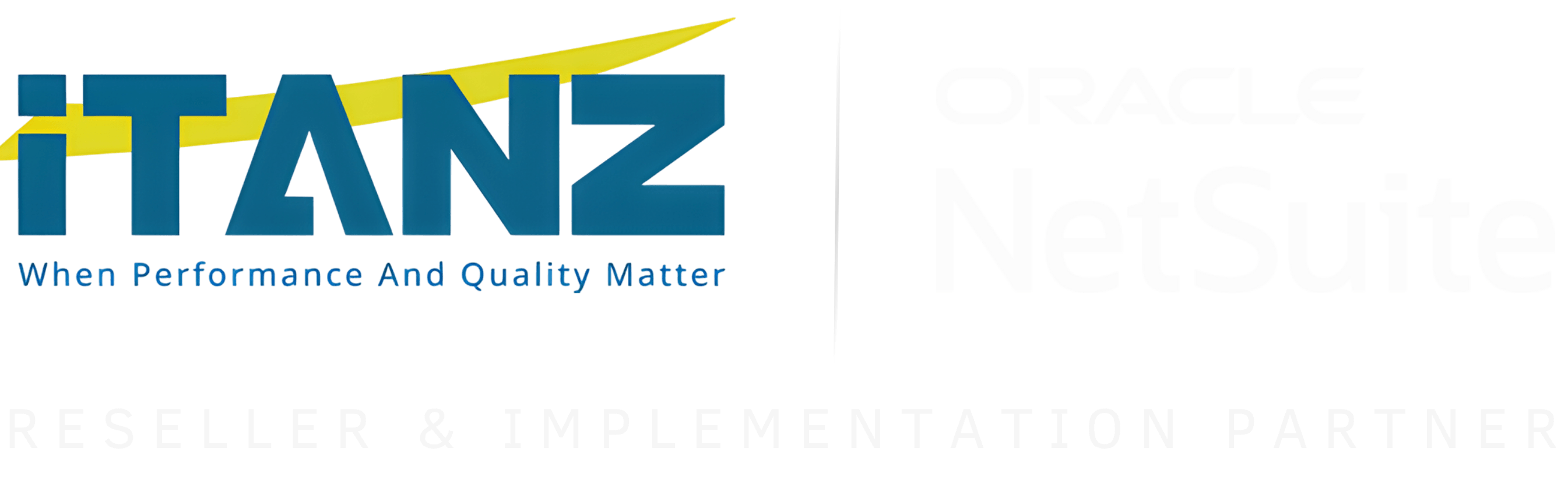 iTANZ — Oracle NetSuite reseller and implementation partner